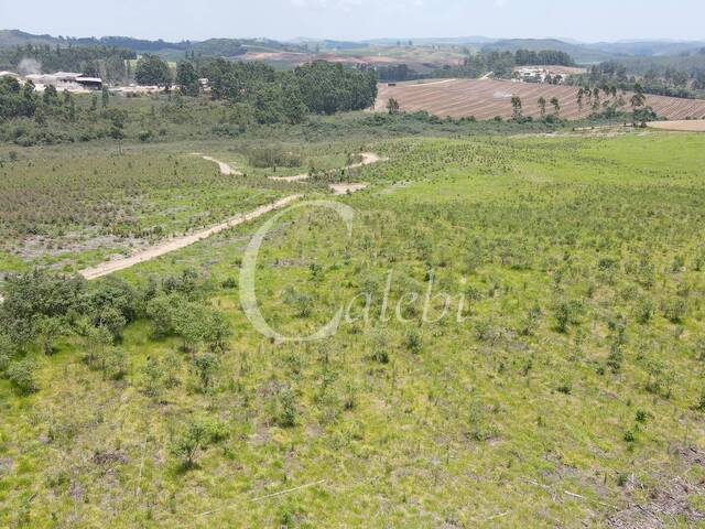#679 - Fazenda para Venda em Andradas - MG - 2