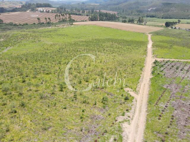 #679 - Fazenda para Venda em Andradas - MG - 3