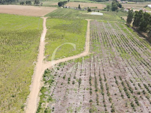 Fazenda para Venda em Andradas - 4