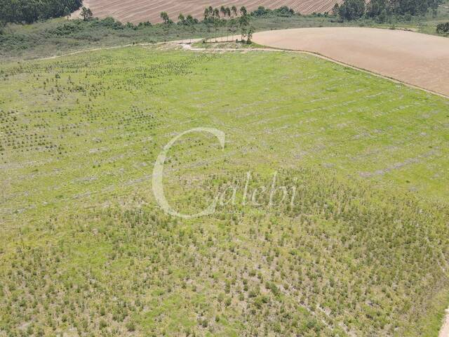 Fazenda para Venda em Andradas - 5