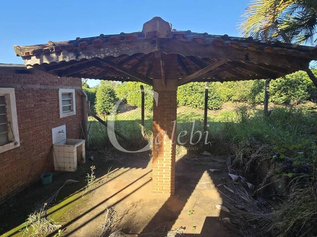Chácara para Venda em Conchal - 5