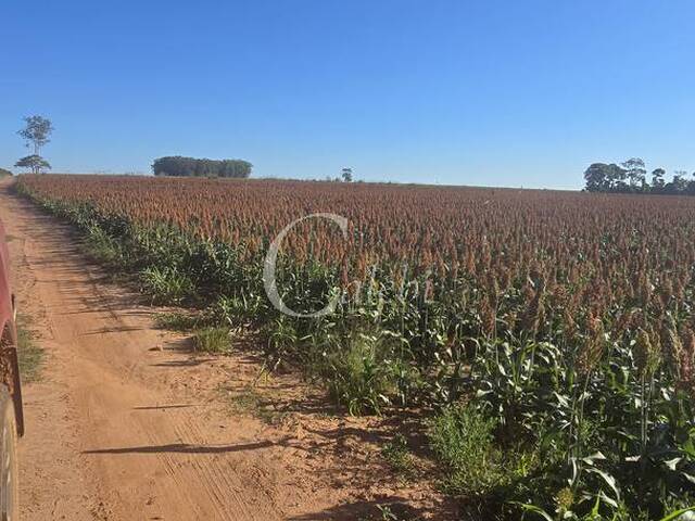 Gleba para Venda em Conchal - 4