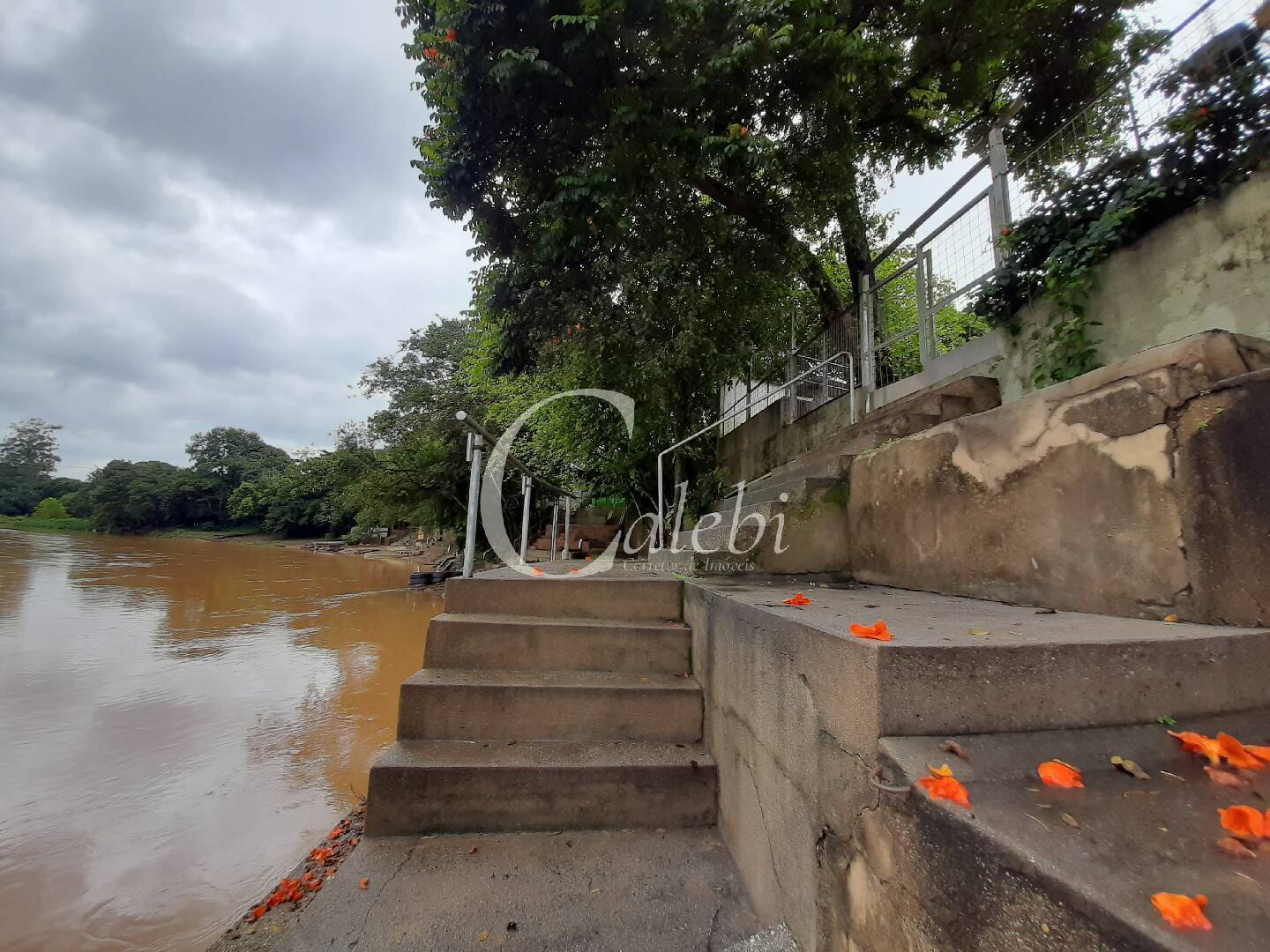 Chácara à venda com 3 quartos, 600m² - Foto 35