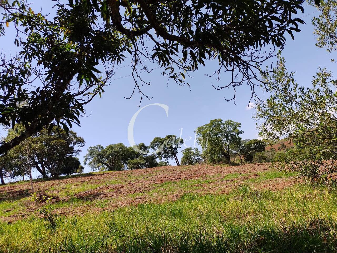 Sítio, 2 quartos, 23 m² - Foto 5