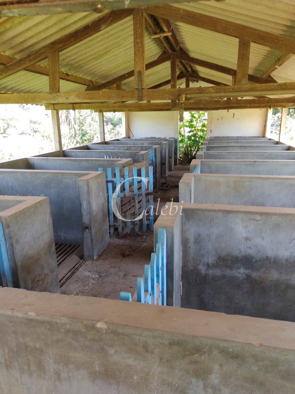 Sítio, 2 quartos, 23 m² - Foto 16