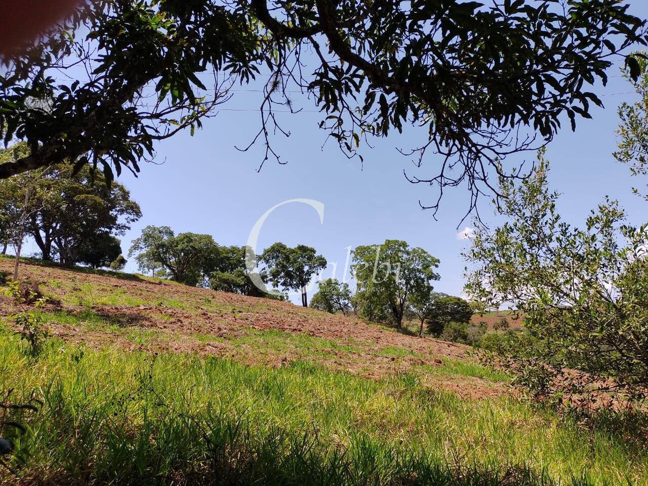 Sítio, 2 quartos, 23 m² - Foto 29