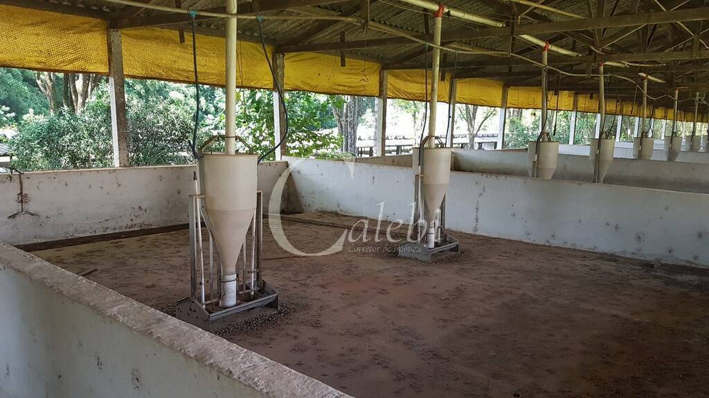 Fazenda à venda com 10 quartos, 6365m² - Foto 27