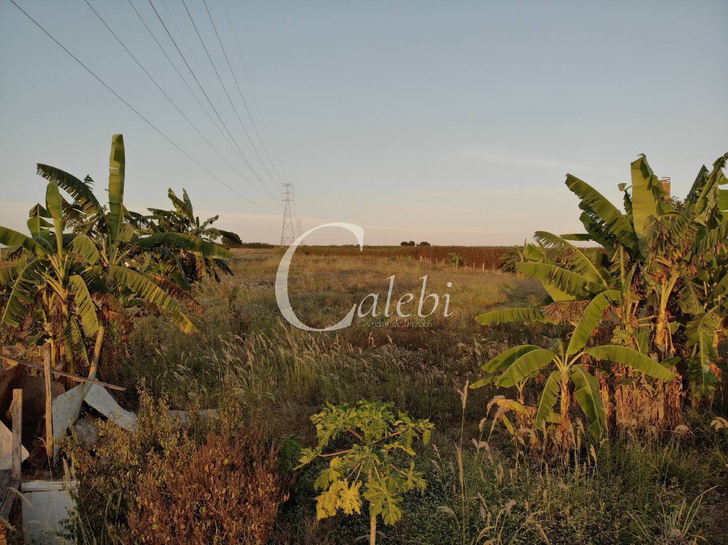 Terreno, 5000 m² - Foto 5