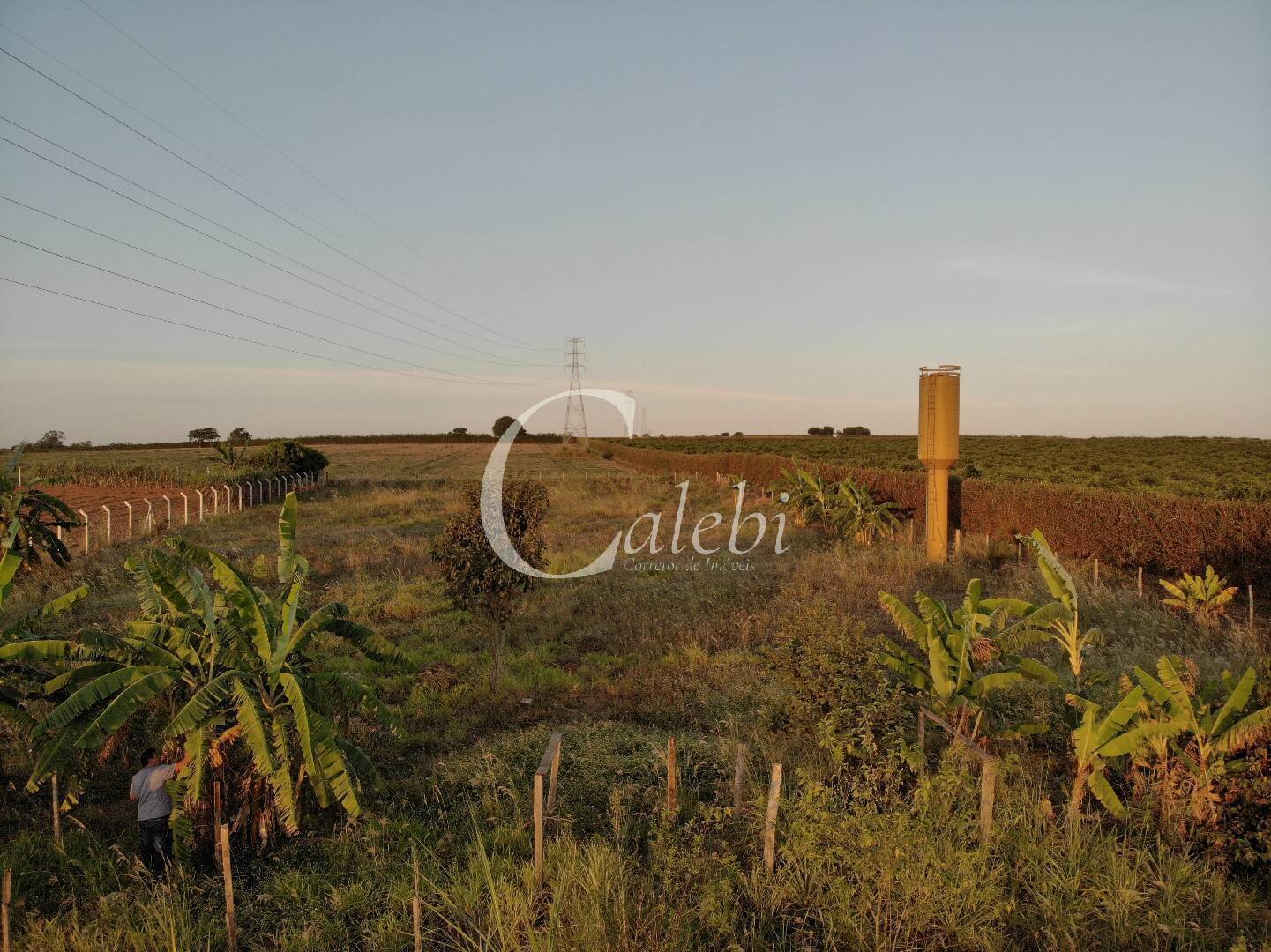 Terreno, 5000 m² - Foto 6