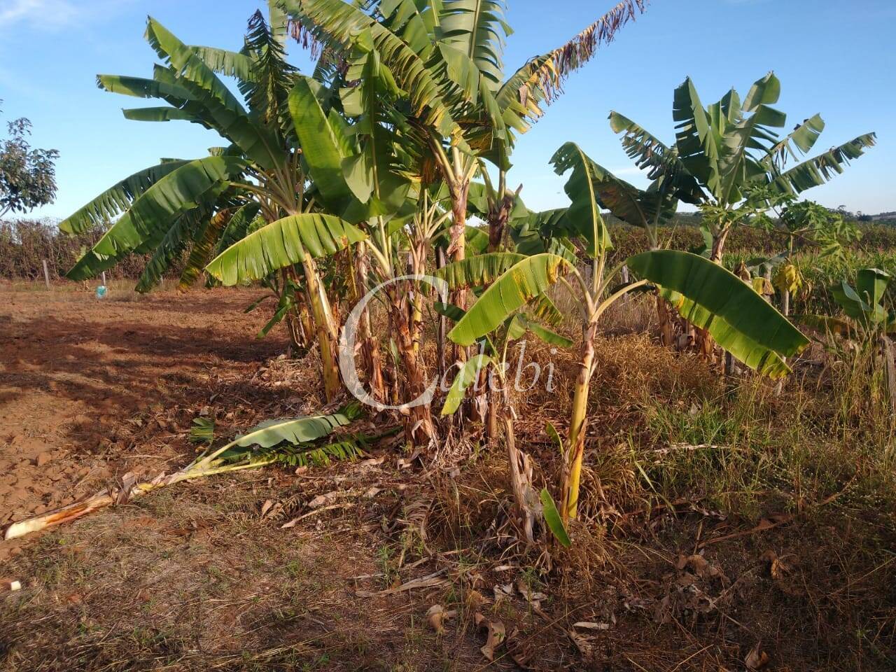 Terreno, 5000 m² - Foto 19