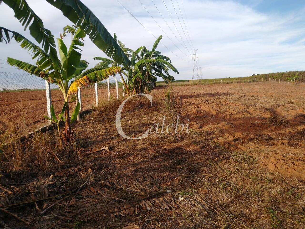 Terreno, 5000 m² - Foto 3