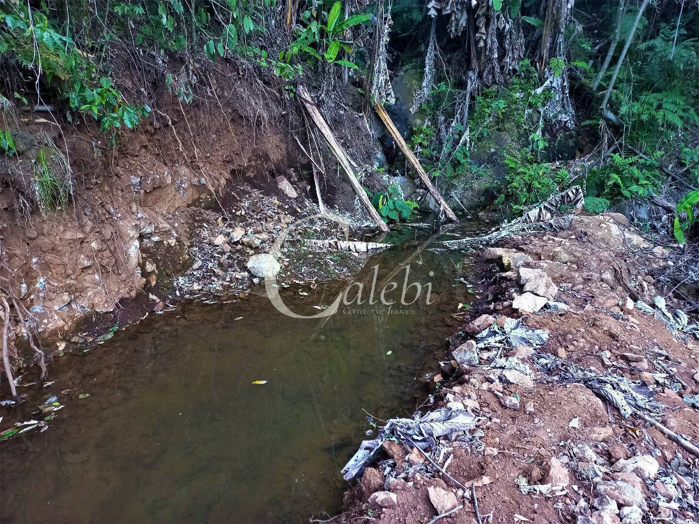 Terreno, 8 hectares - Foto 6