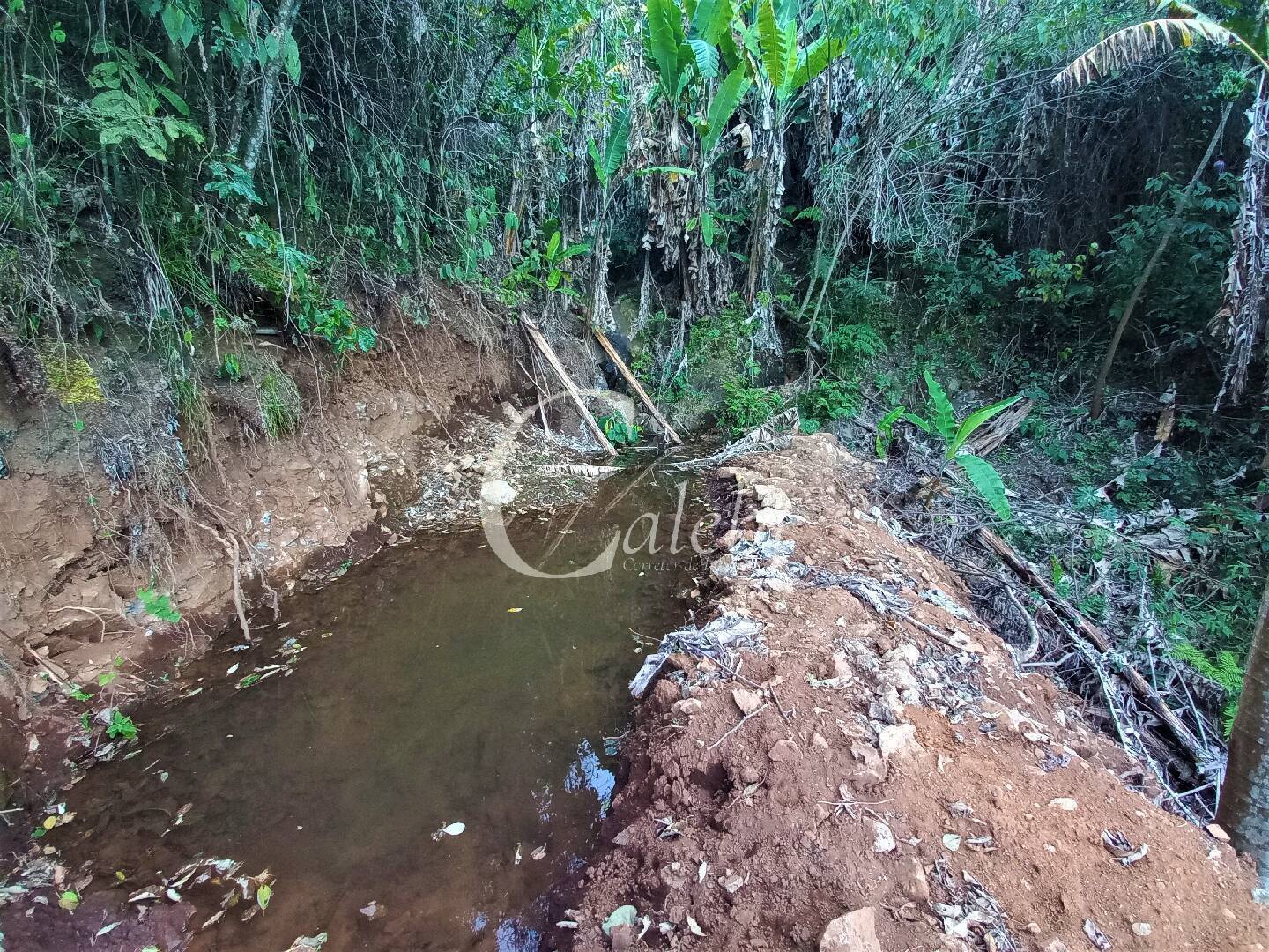 Terreno, 8 hectares - Foto 7