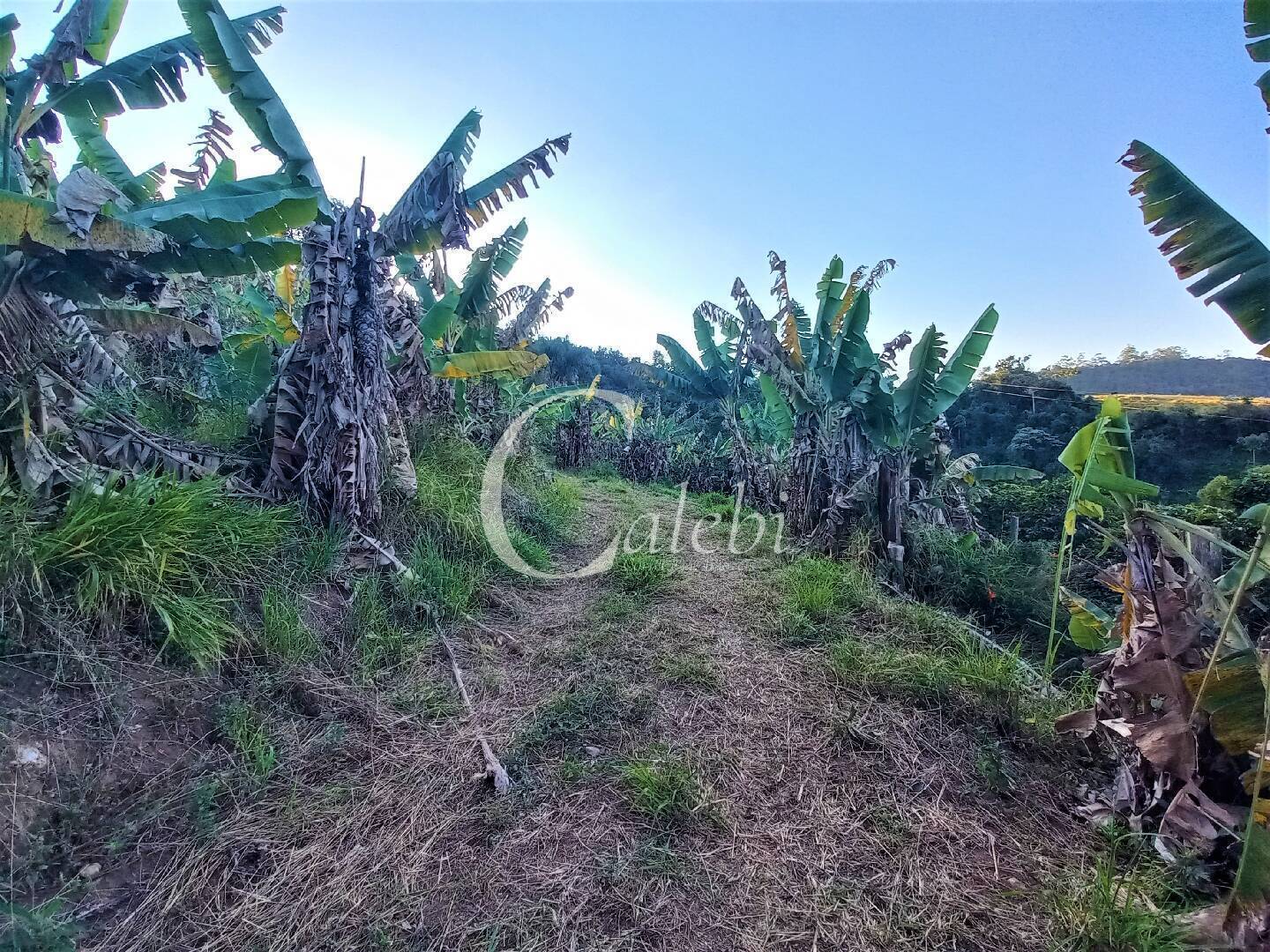 Terreno, 8 hectares - Foto 9