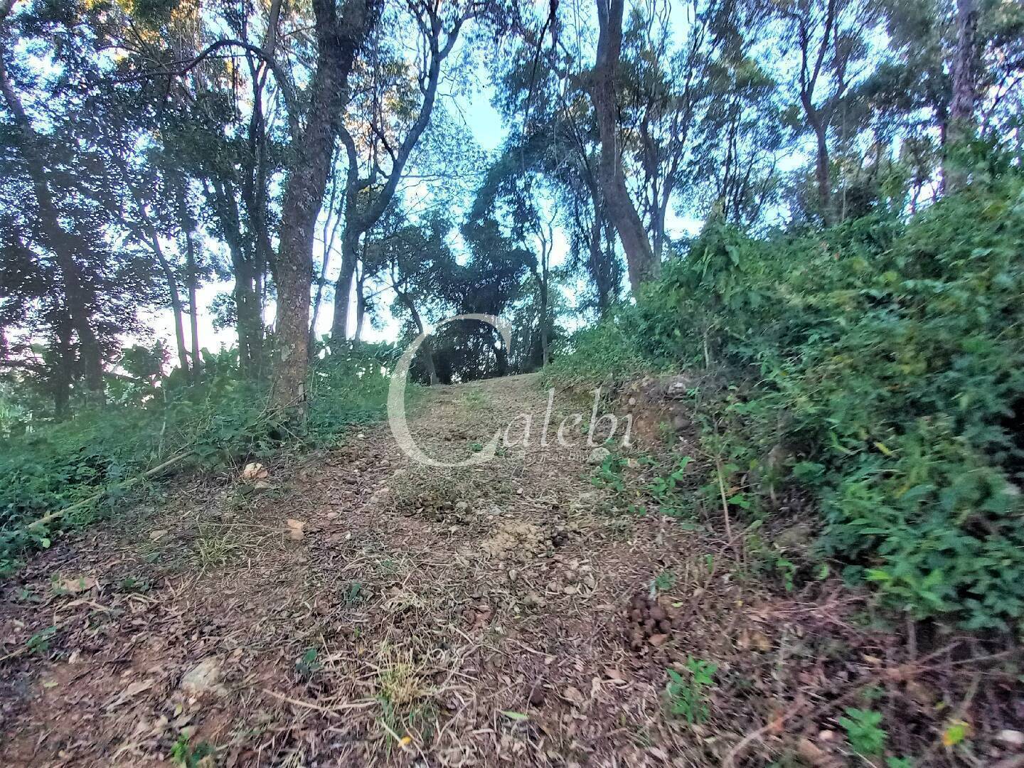 Terreno, 8 hectares - Foto 16