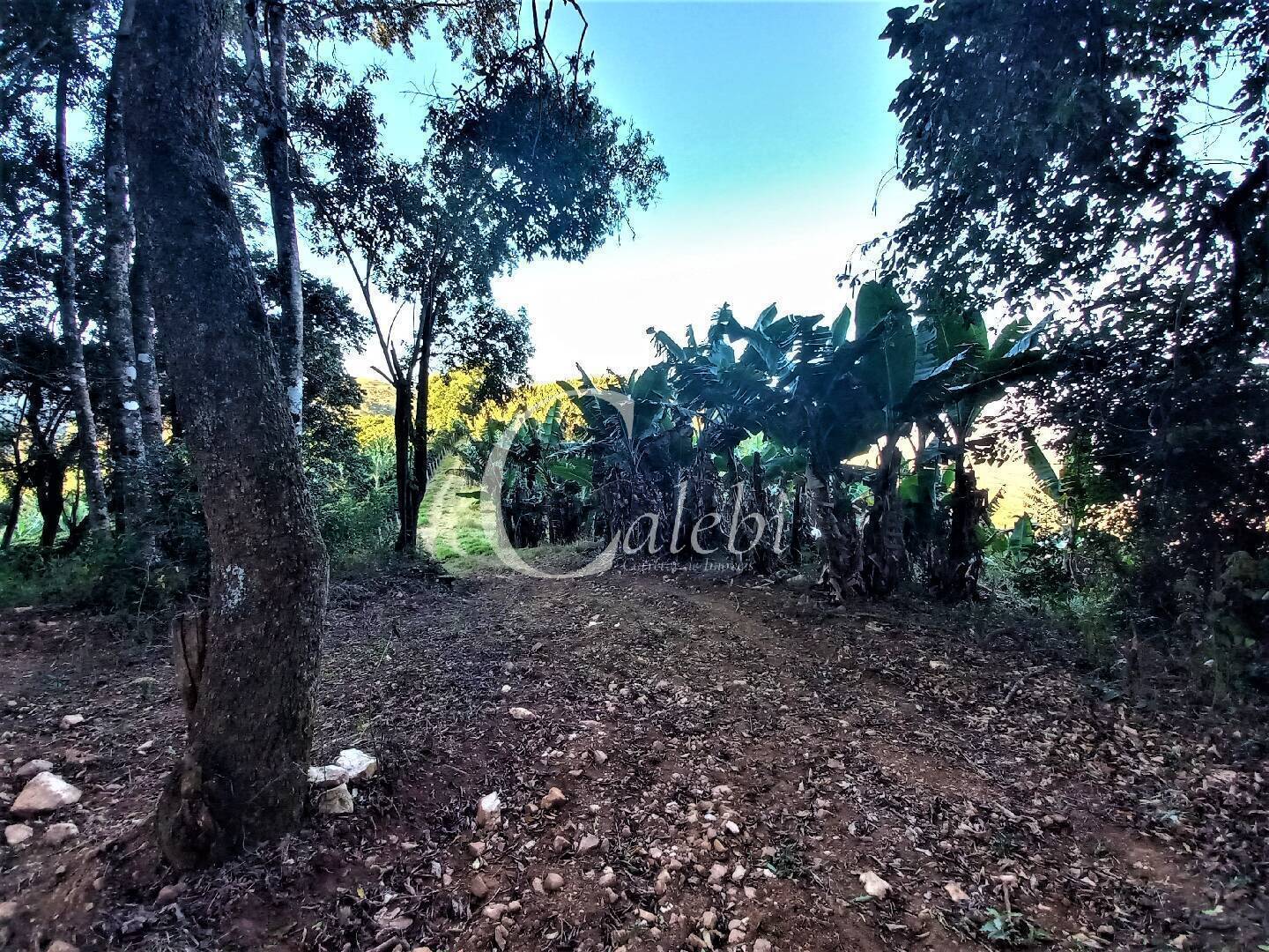 Terreno, 8 hectares - Foto 3