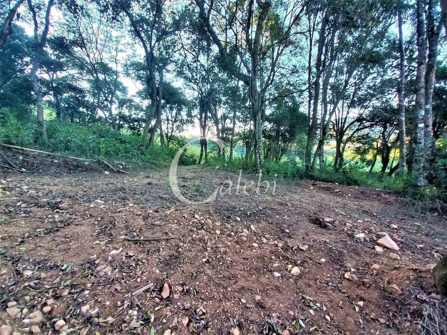 Terreno, 8 hectares - Foto 18