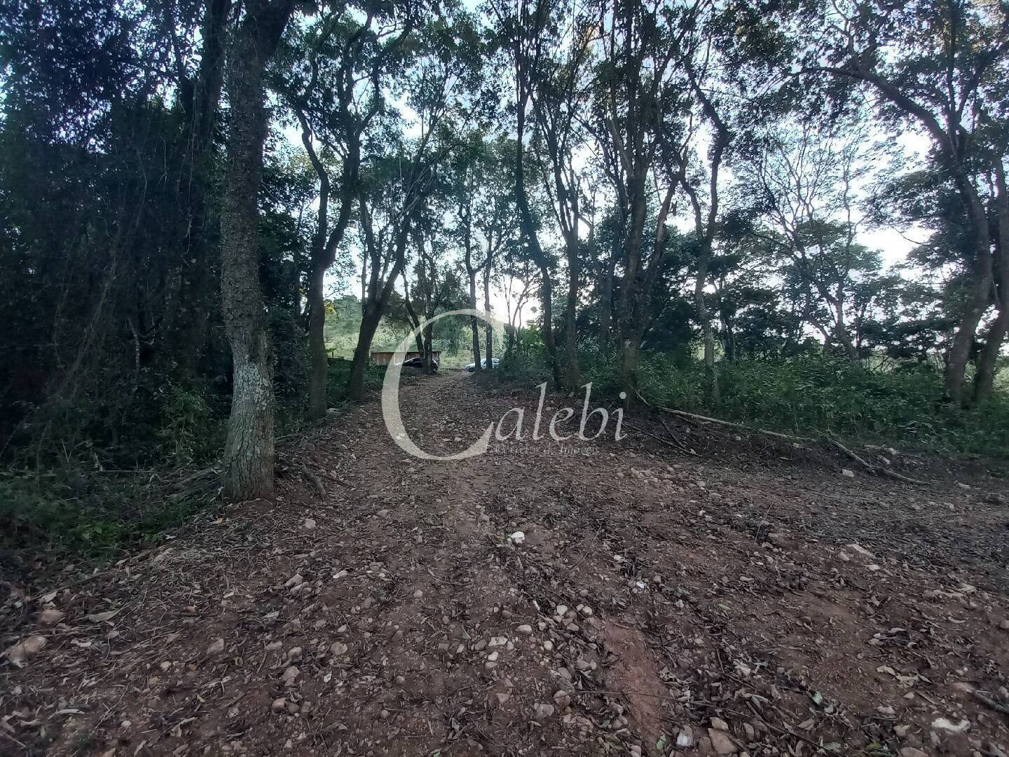 Terreno, 8 hectares - Foto 19