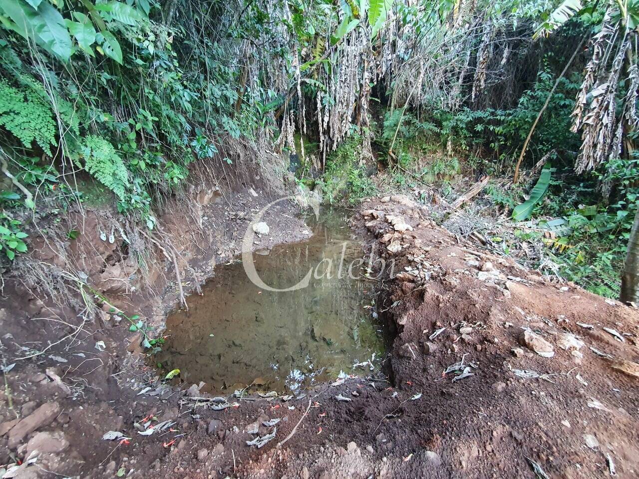 Terreno, 8 hectares - Foto 21