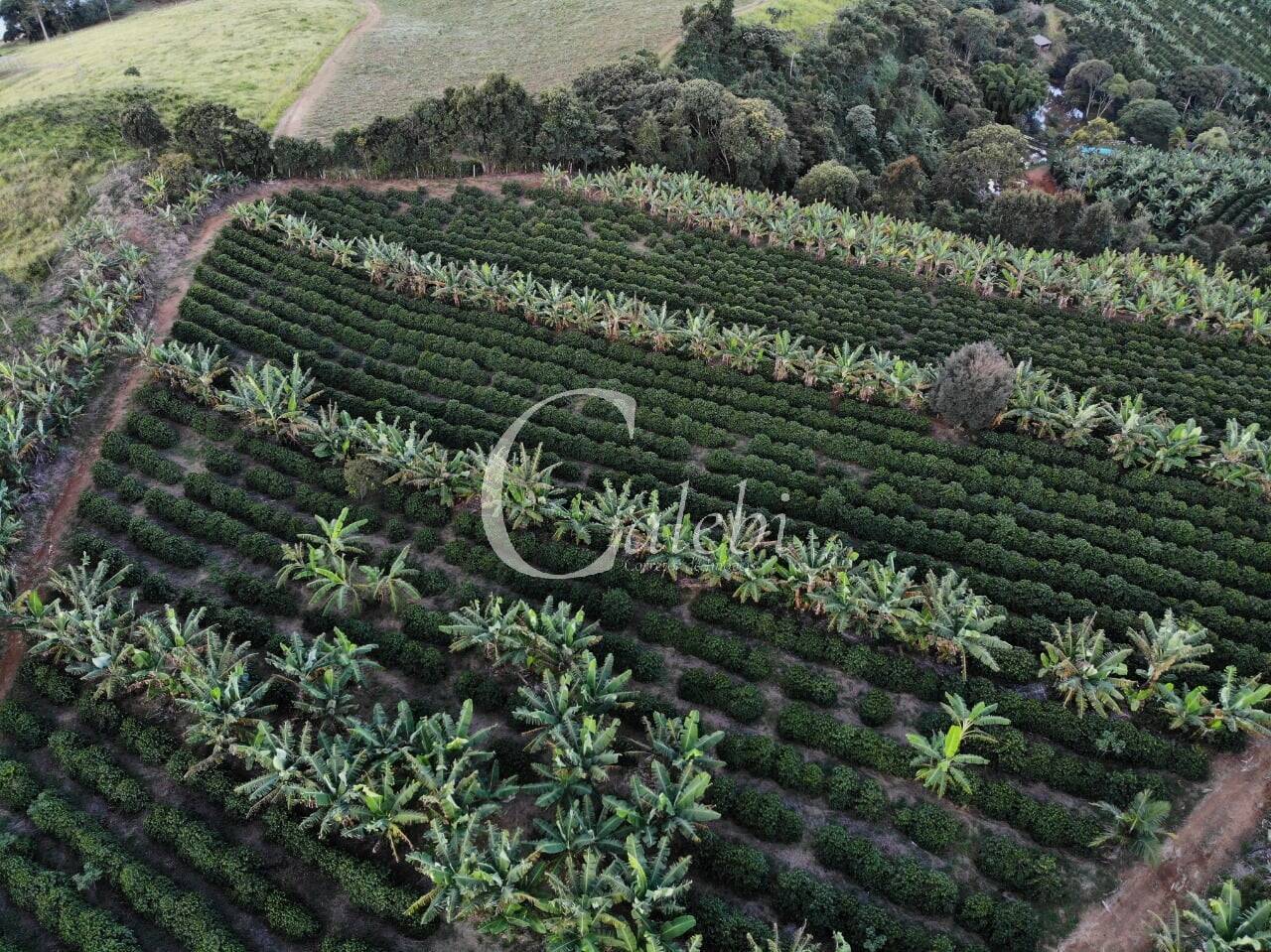 Terreno, 8 hectares - Foto 22