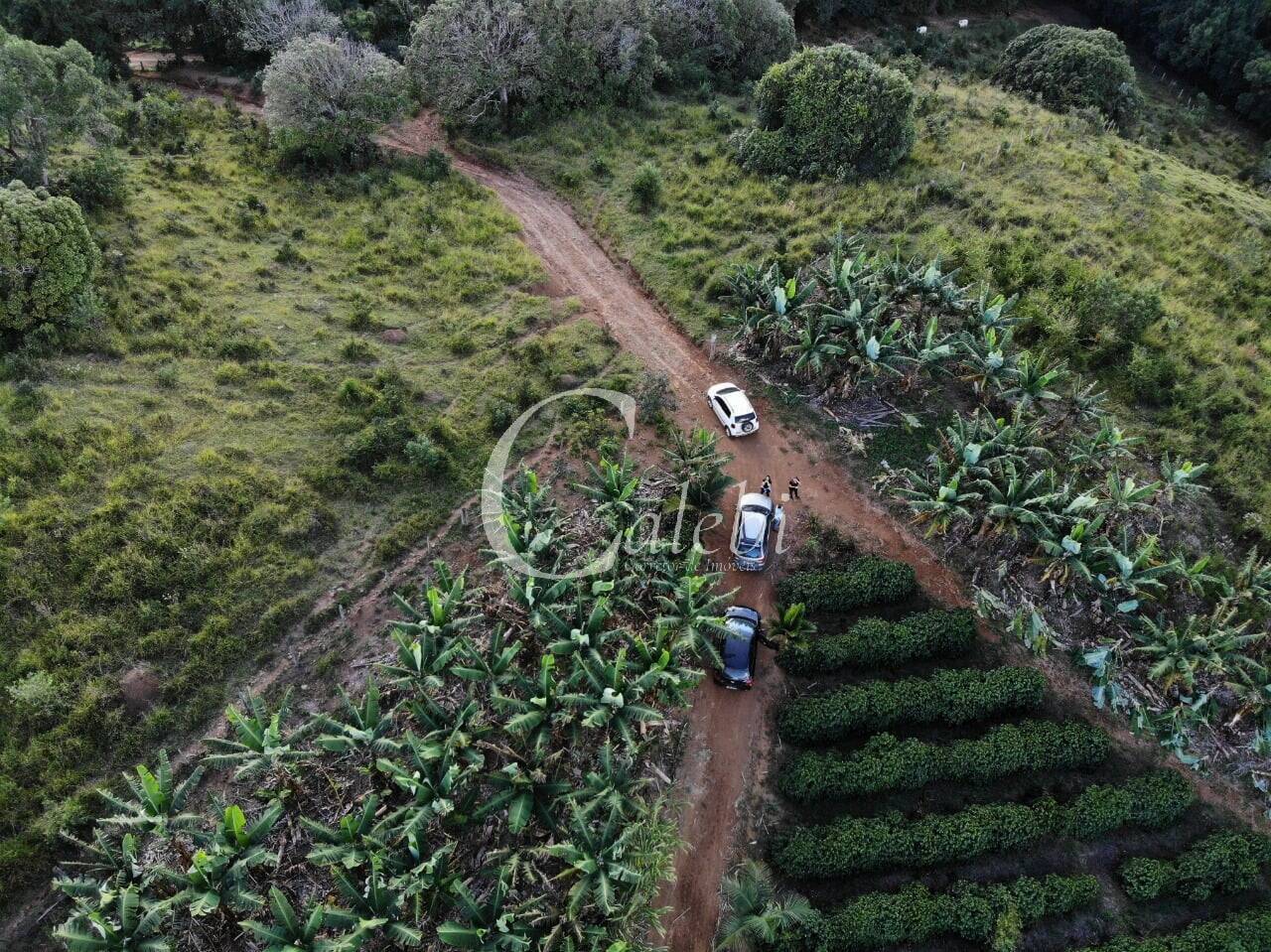 Terreno, 8 hectares - Foto 25