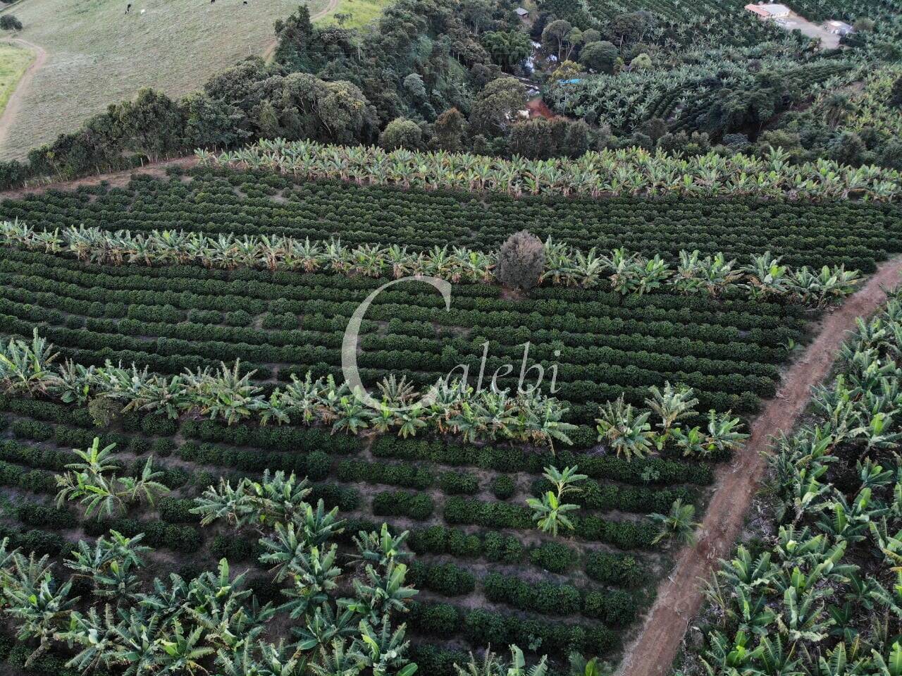 Terreno, 8 hectares - Foto 23