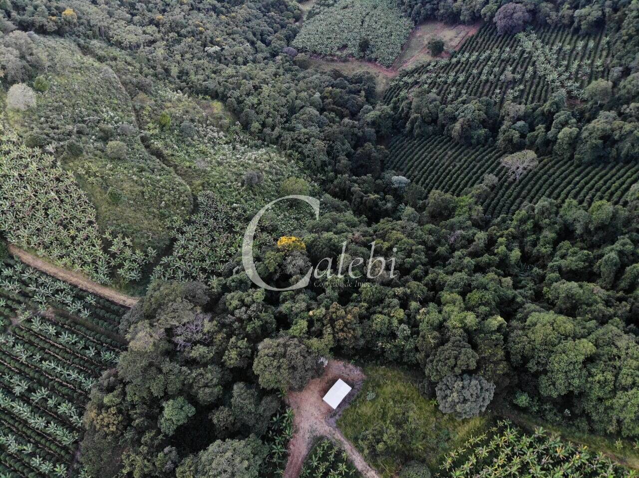 Terreno, 8 hectares - Foto 24