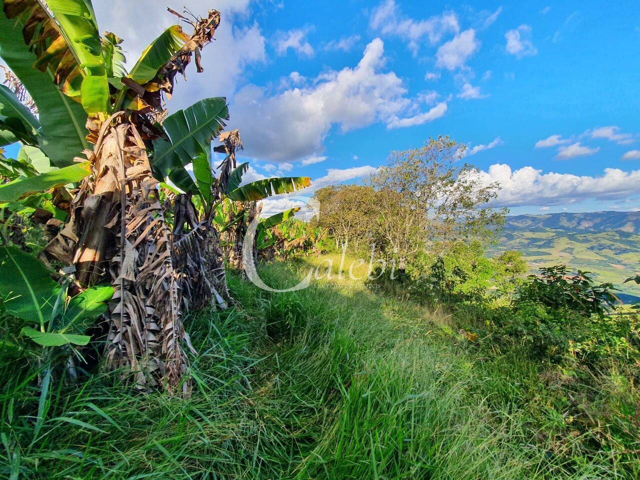 Terreno, 8 hectares - Foto 27