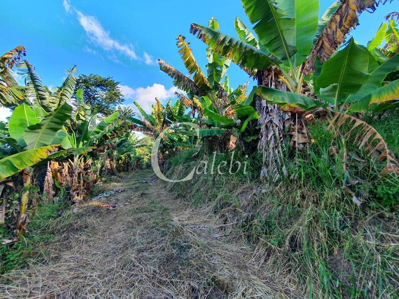 Terreno, 8 hectares - Foto 28