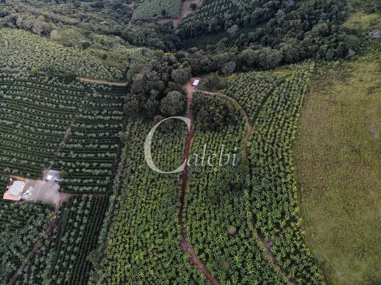 Terreno, 8 hectares - Foto 29