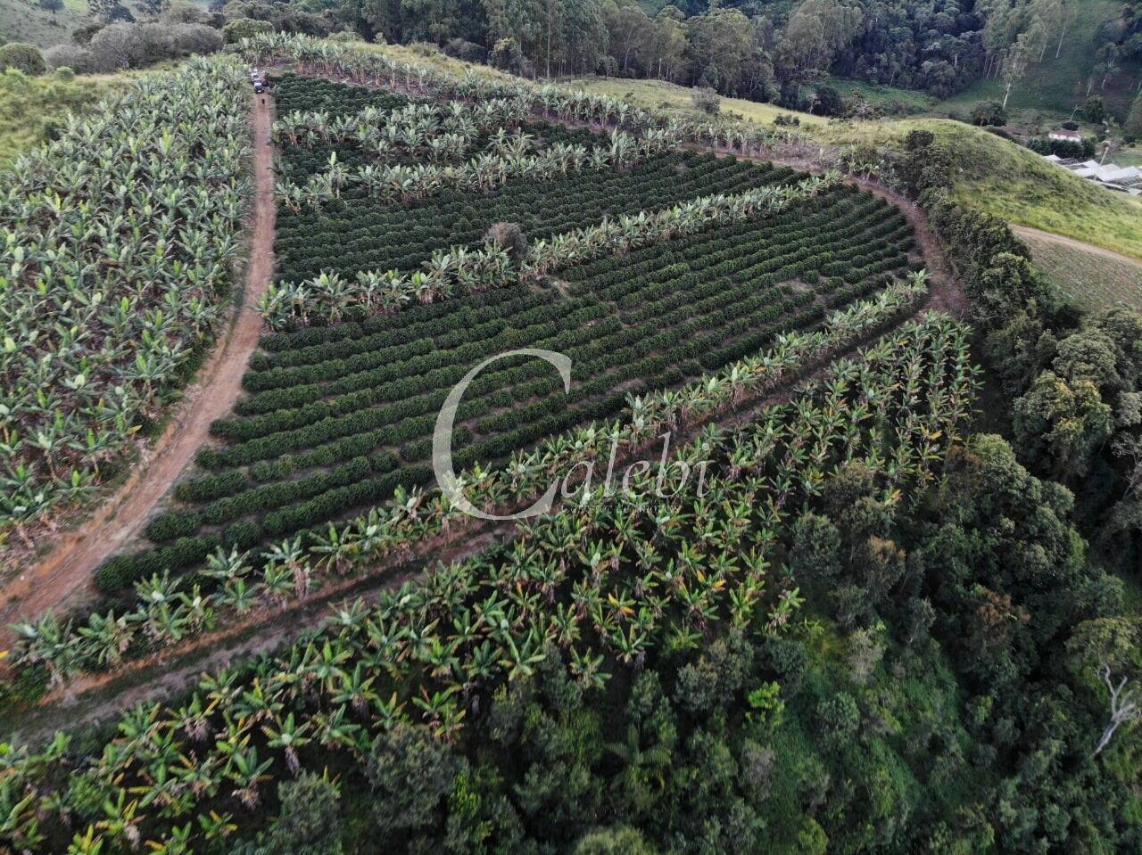 Terreno, 8 hectares - Foto 1