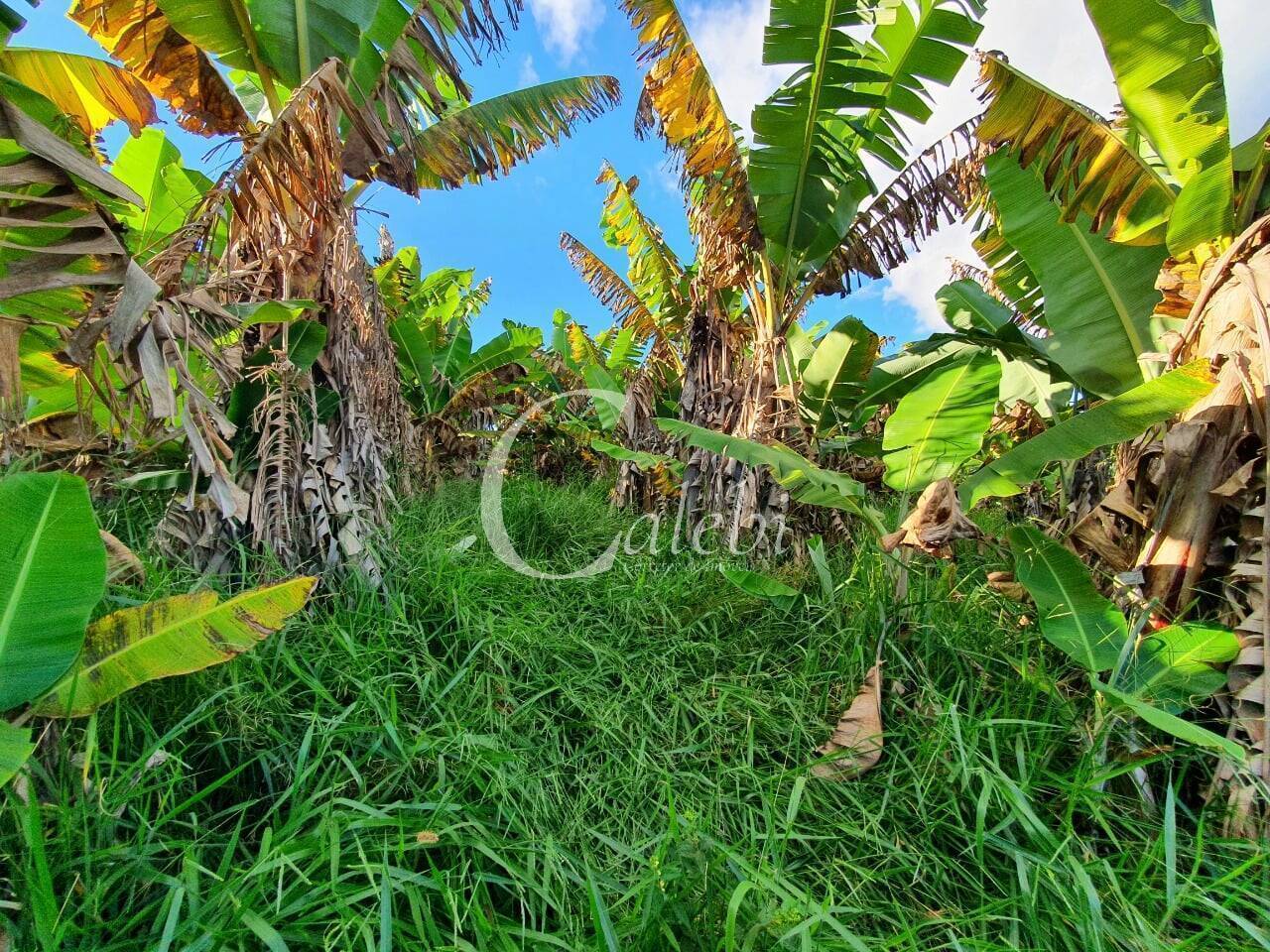 Terreno, 8 hectares - Foto 30