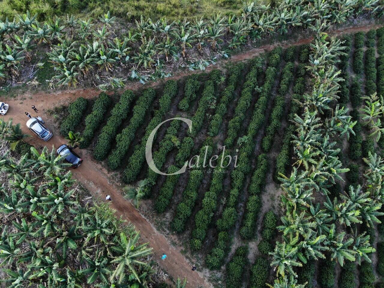 Terreno, 8 hectares - Foto 31