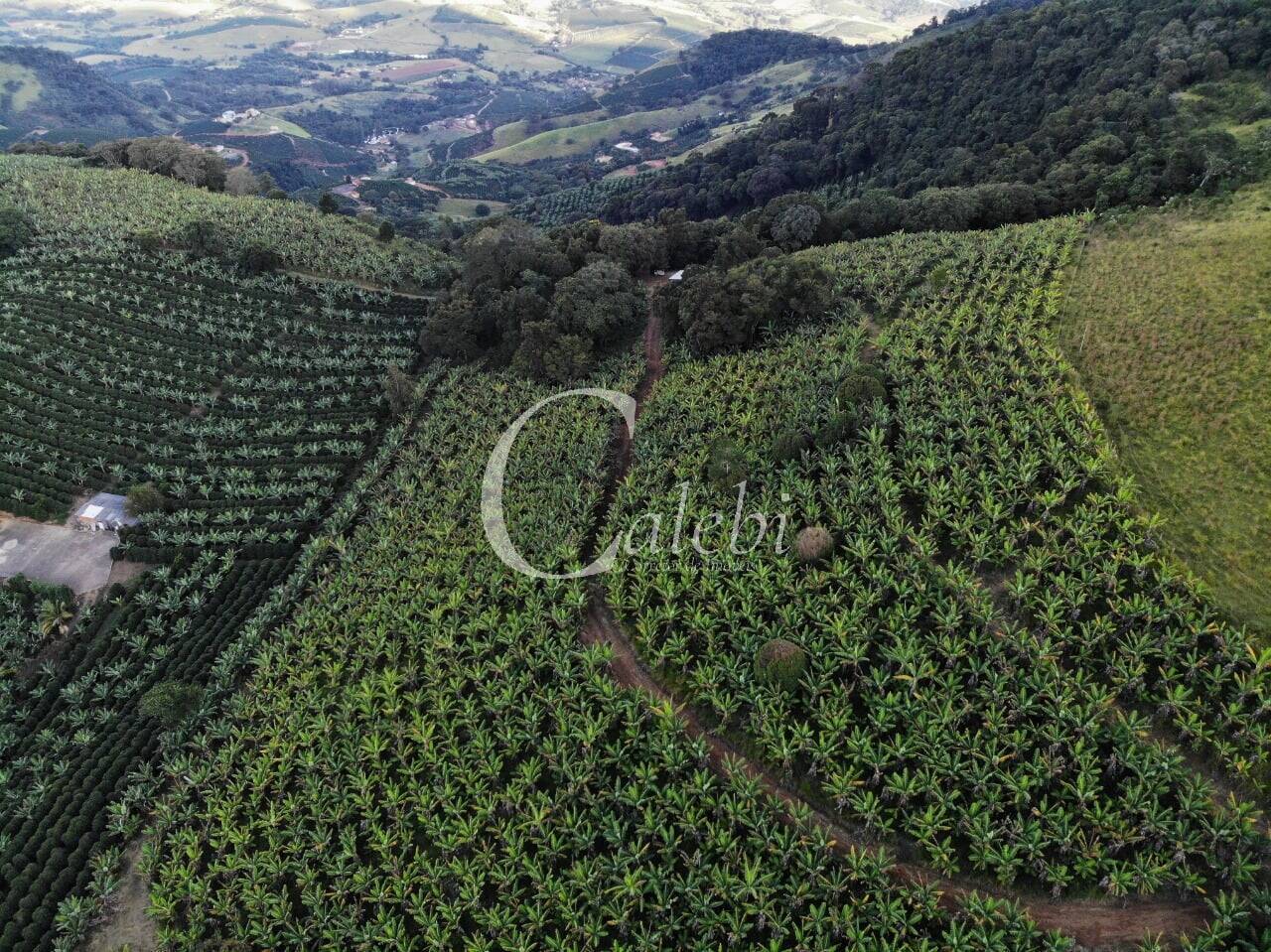 Terreno, 8 hectares - Foto 33