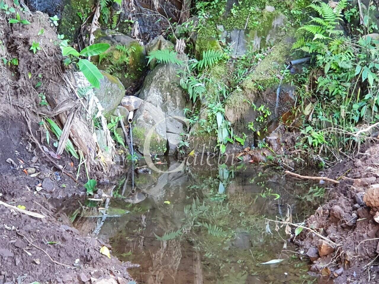 Terreno, 8 hectares - Foto 32