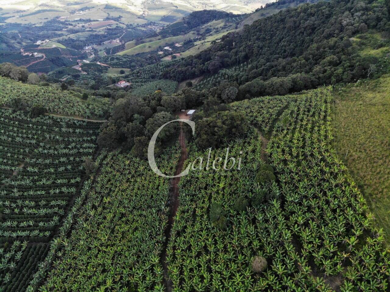 Terreno, 8 hectares - Foto 2