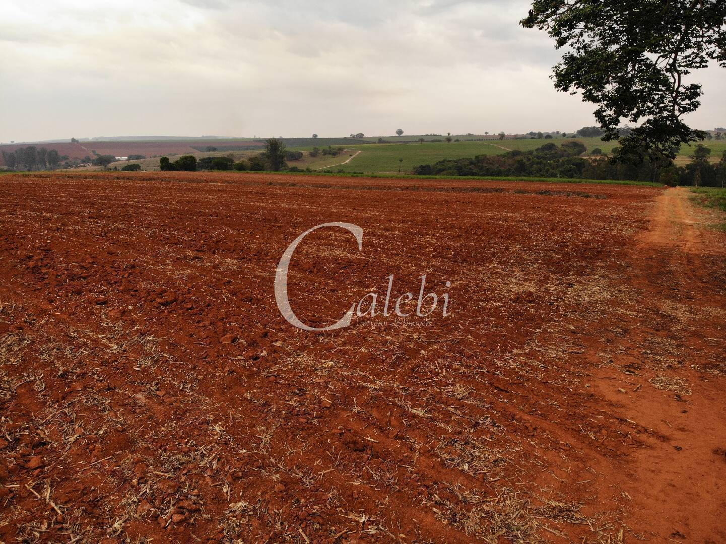 Terreno, 4 m² - Foto 3