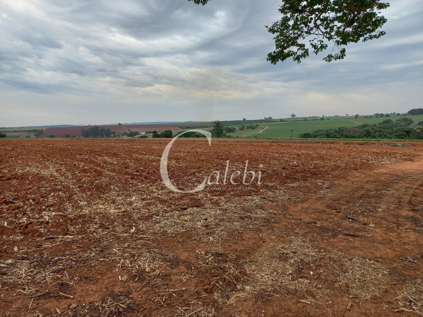 Terreno, 4 m² - Foto 6