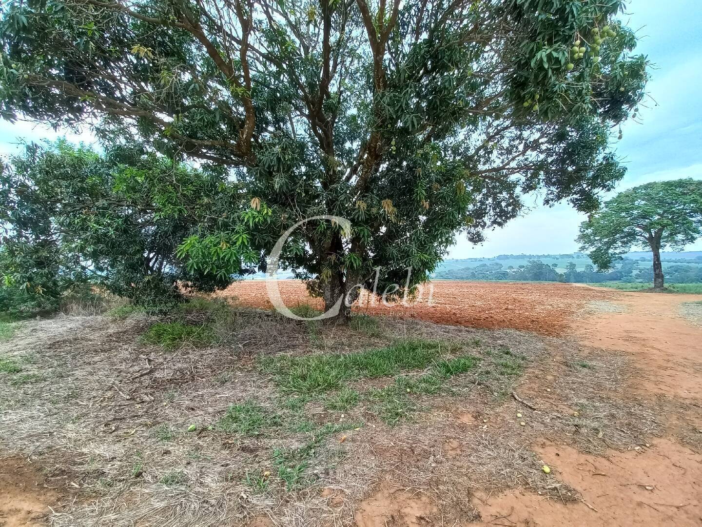 Terreno, 4 m² - Foto 8