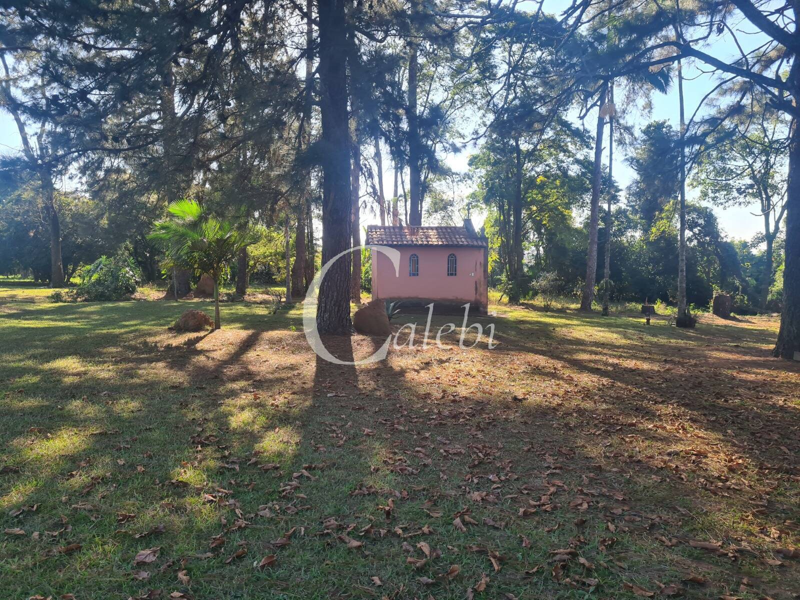 Chácara, 4 quartos, 400 m² - Foto 14