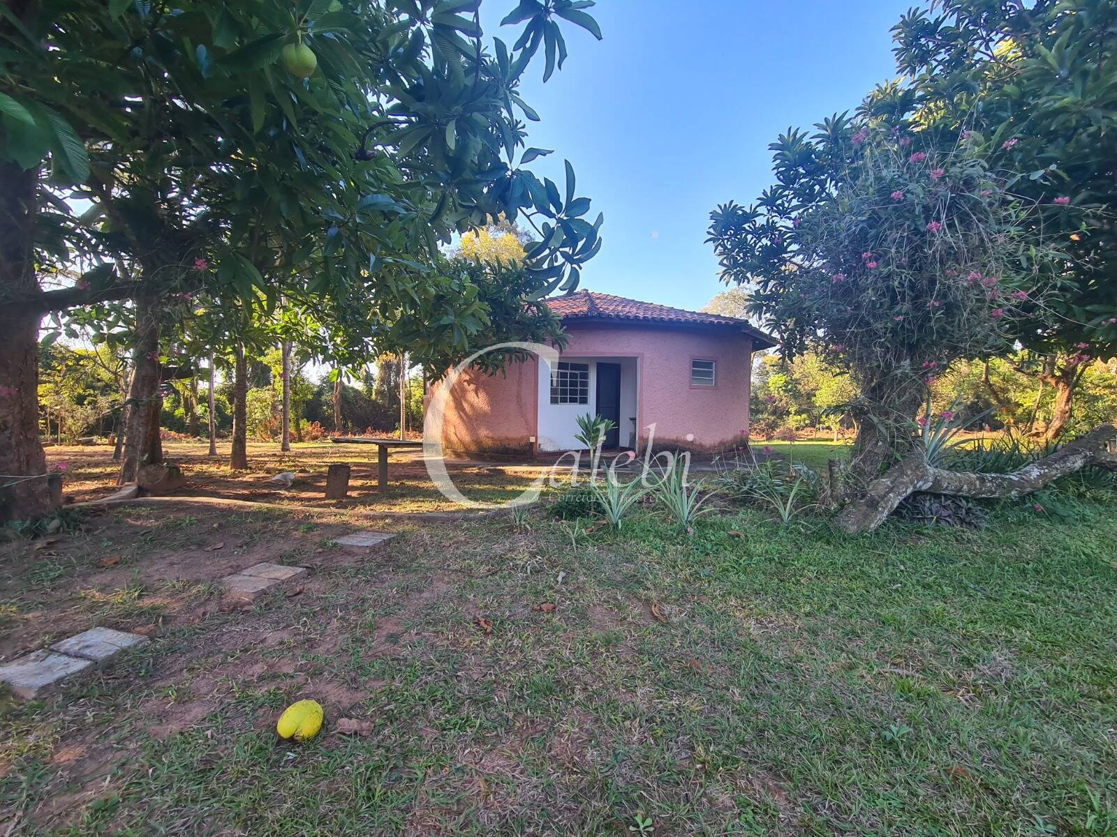 Chácara, 4 quartos, 400 m² - Foto 16