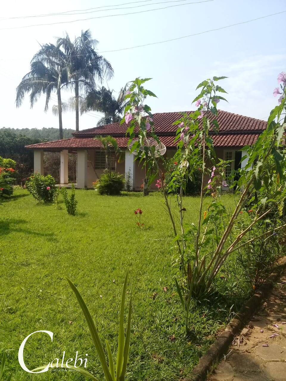 Terreno, 5 m² - Foto 7