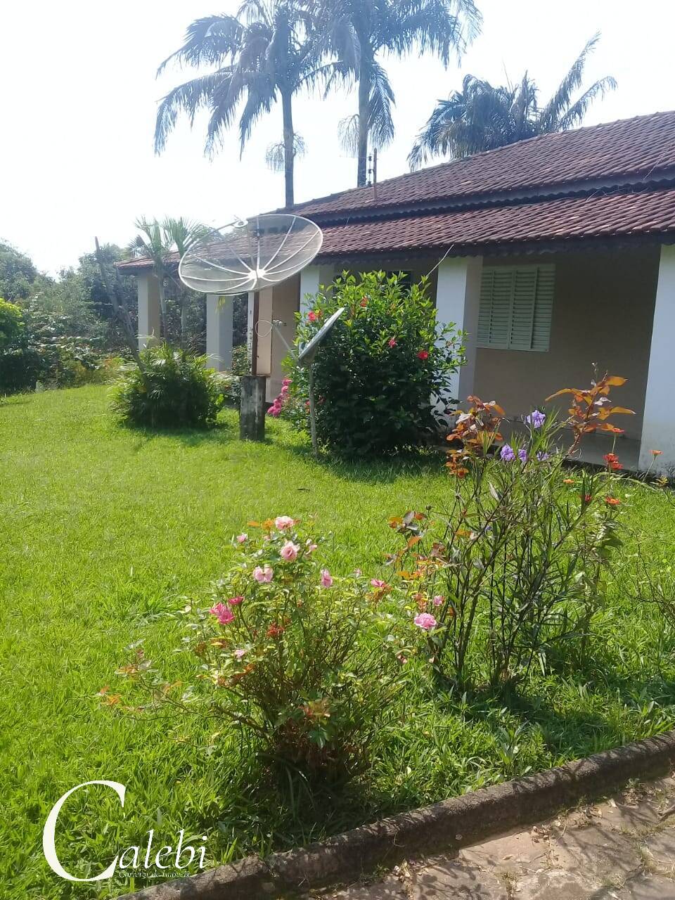 Terreno, 5 m² - Foto 6