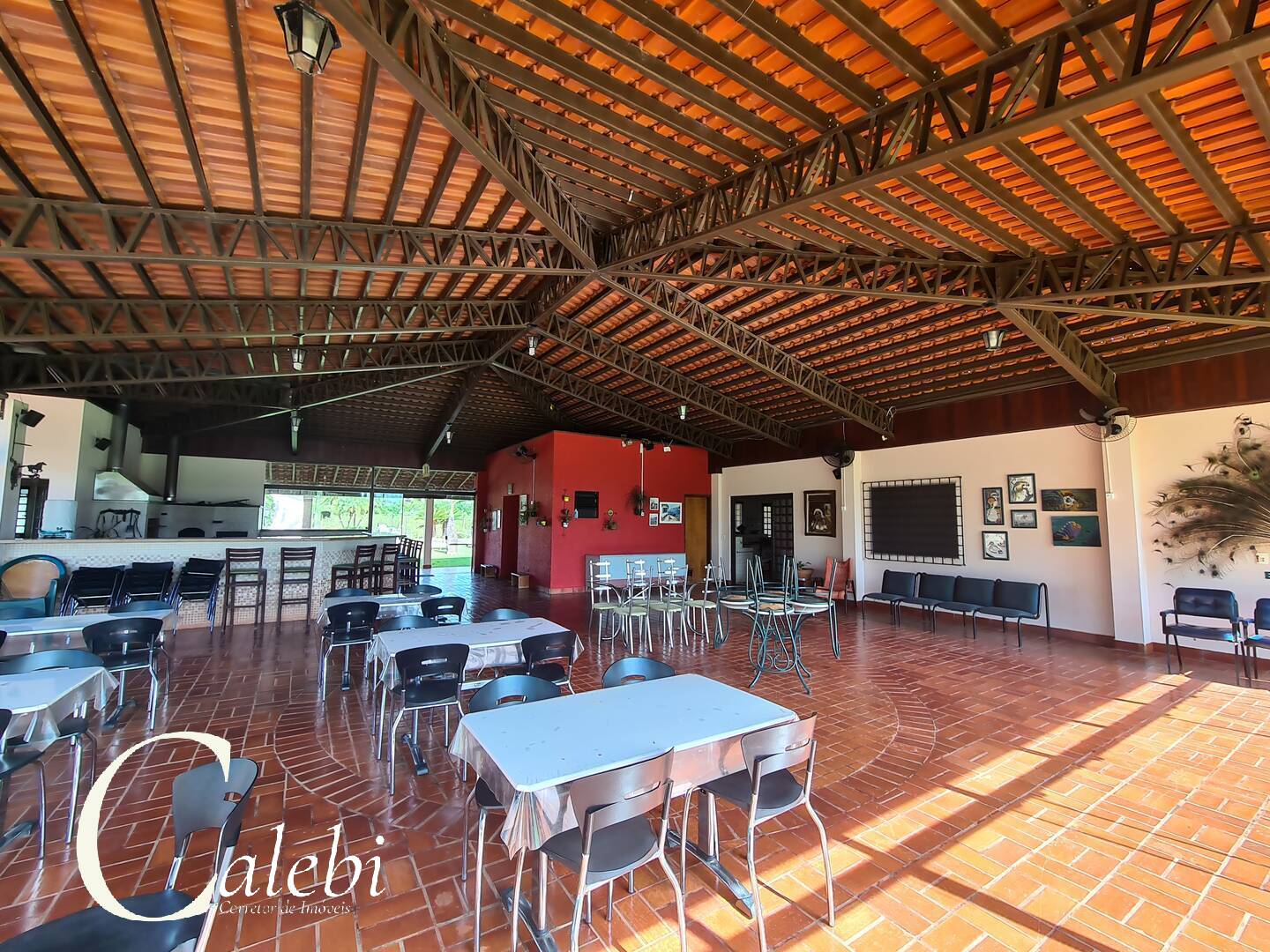 Sítio à venda com 6 quartos, 6m² - Foto 16