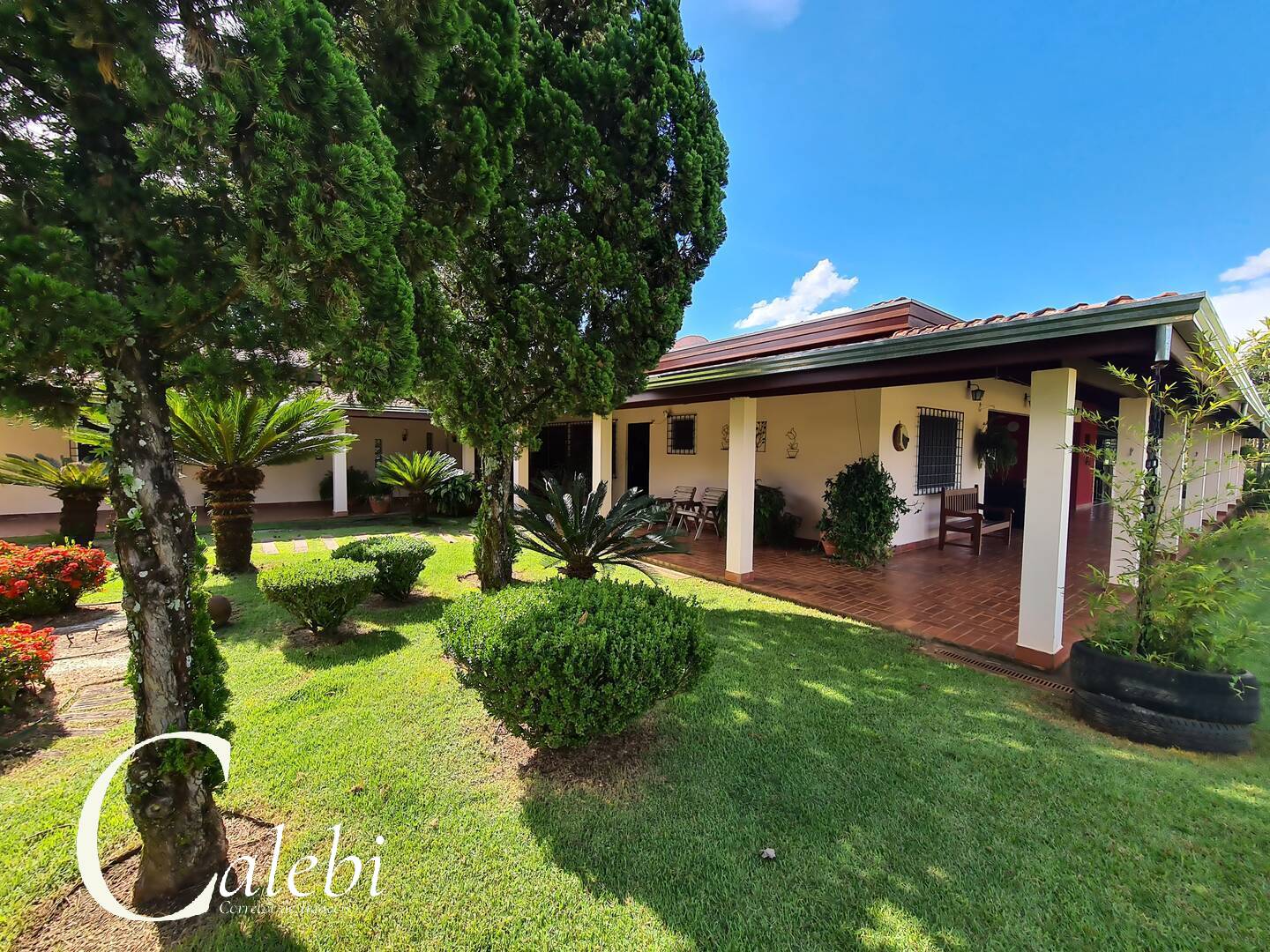 Sítio à venda com 6 quartos, 6m² - Foto 29