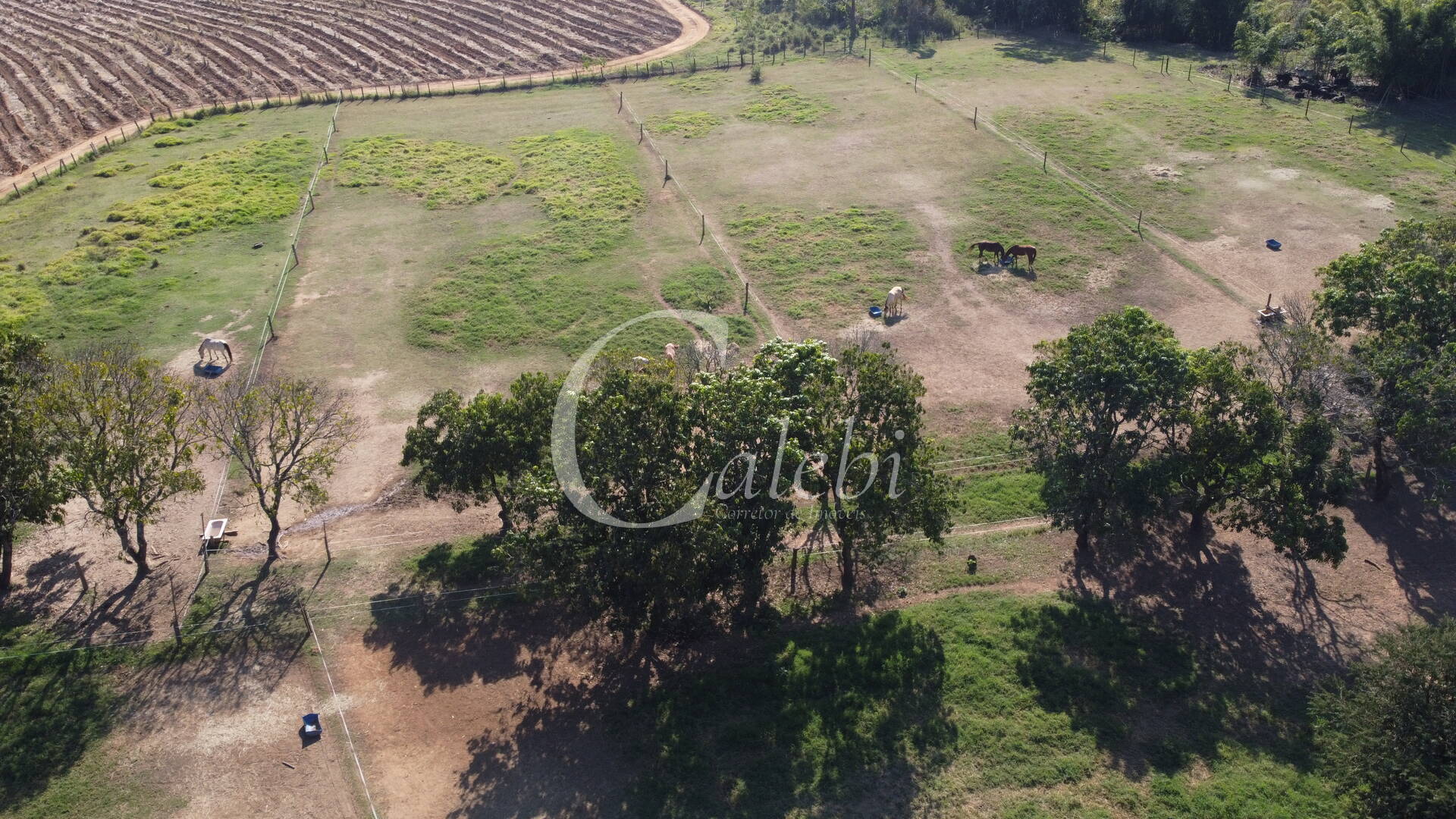 Terreno, 3 m² - Foto 7