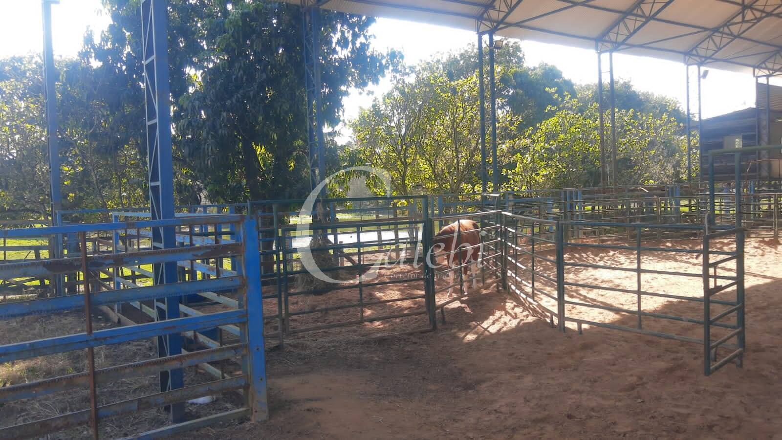 Terreno, 3 m² - Foto 18