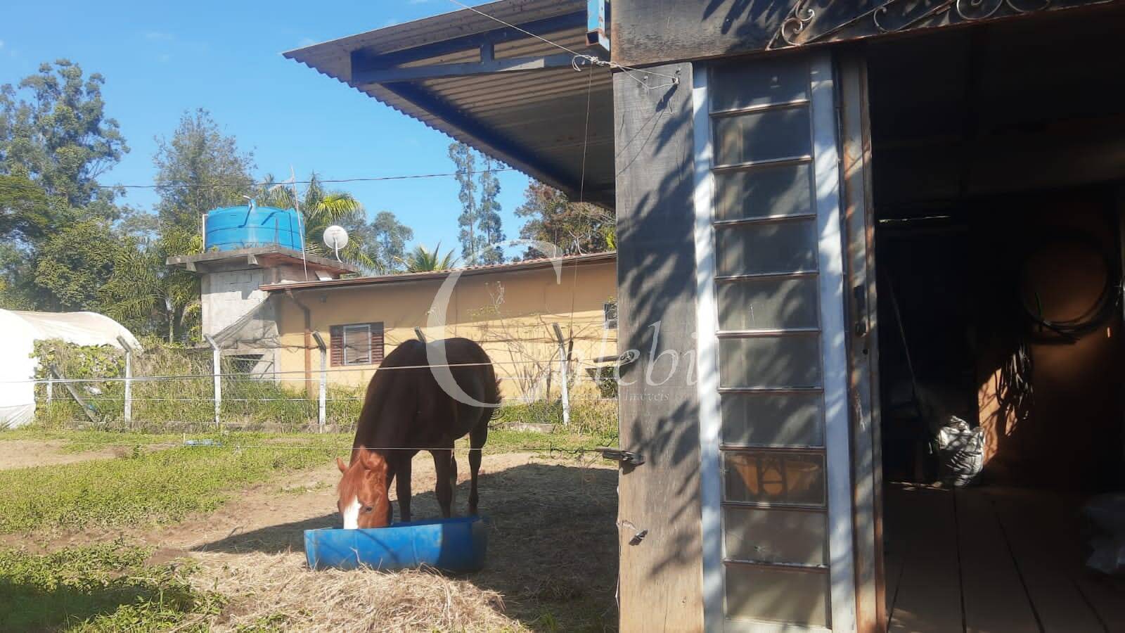 Terreno, 3 m² - Foto 29