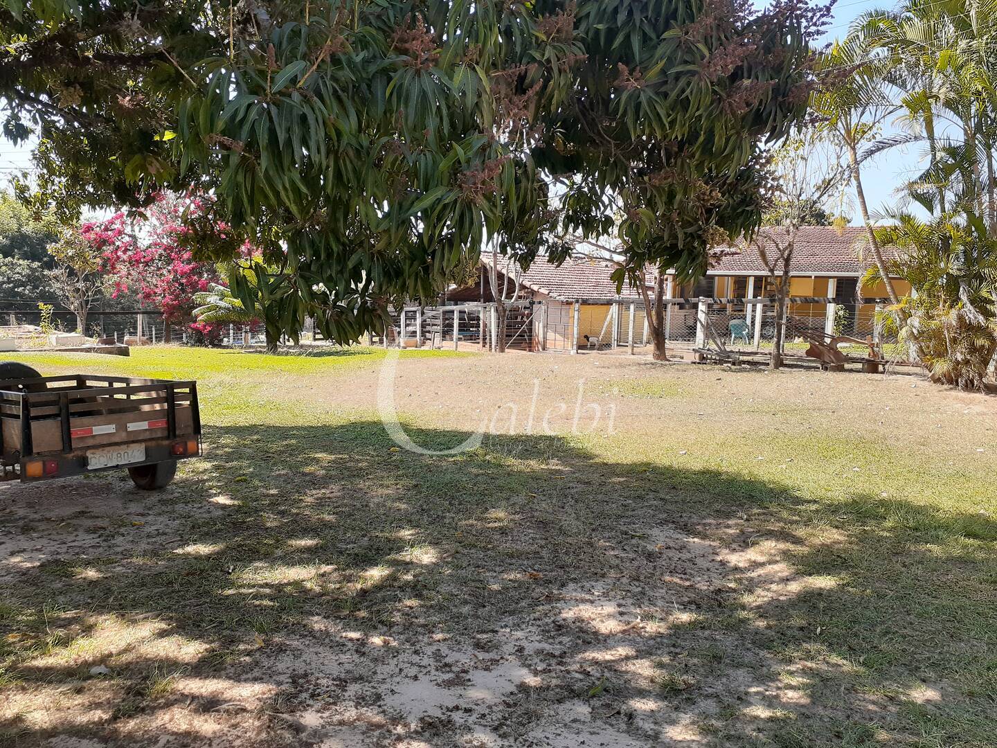 Sítio, 4 quartos, 2 m² - Foto 3