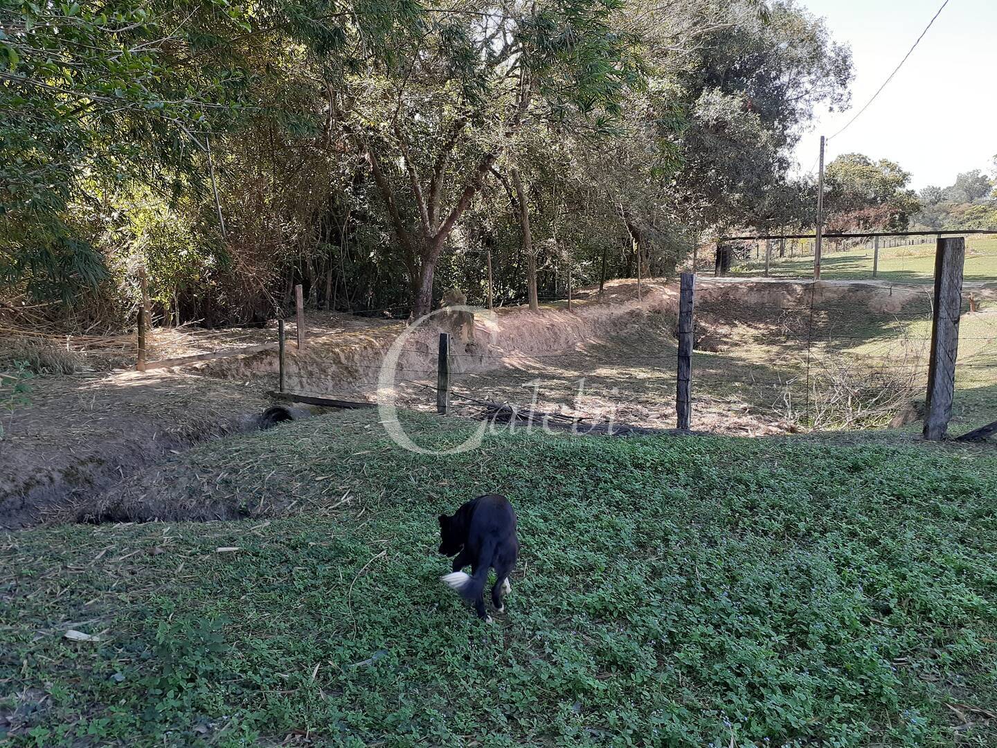 Sítio, 4 quartos, 2 m² - Foto 12